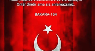 87580461_2298174270475100_4466216365170098176_n