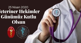 94886542_553810755266336_4049392245814591488_o