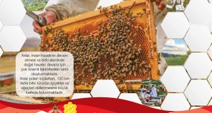 99136378_567919843855427_7952625199768141824_o