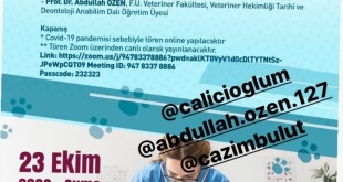 122465152_2482010692091456_2942487723819965076_o