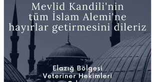 123139710_2486202315005627_6674280516871822995_o