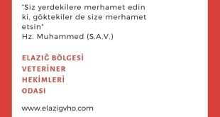 6324fd01-f4cd-4e50-9703-e7ce90603e4f