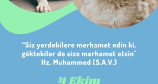 ac01fc97-7f0d-4dc4-8efd-726594240acd