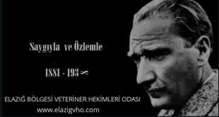 125024420_2497166500575875_7972029998199499451_o