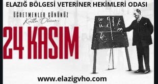 127228004_2508423216116870_8274565653625634317_o