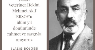 45562989-8aa3-4a21-9a1a-60a10eb38ec0