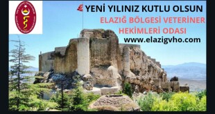 7dc736d5-06e6-4ca0-b838-4aac98fdc667