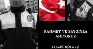 135499500_2537569516535573_2183478824054561573_o