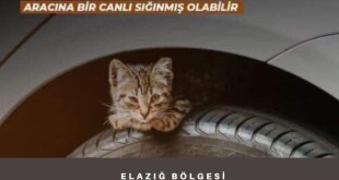 140224596_213045323862903_3298094899694550248_n