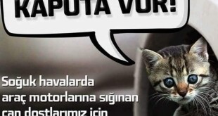 140298192_411374096864428_7351519740046304216_n