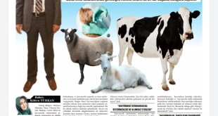 146737517_2557374761221715_3175213123732406157_o