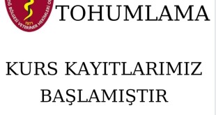 154864417_432303947848902_4042871391485134517_n