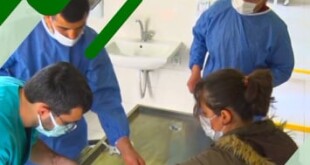 165138801_265794521788396_4136294690348931690_n