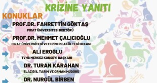 1295048d-fe54-4678-bb54-7639e8bdf515