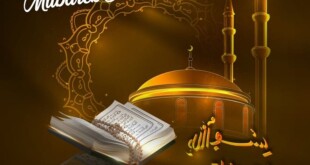 1d41eea0-3b62-425b-9d79-ec996c868410