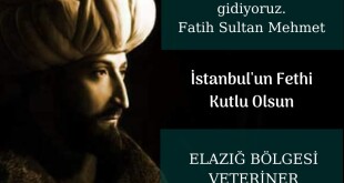 42893fa8-14c0-4415-bc4d-9fd638922751