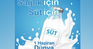 195742345_2631096567182867_8666624229641693387_n