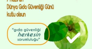 7bd1c21f-d72c-4c03-a4be-a47f1d8b97ef