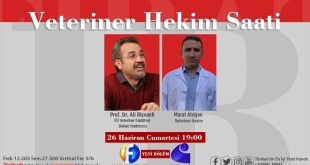 fae1f3d5-ba88-4dcb-aa70-bfdcd0716b4a