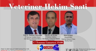 218359408_2659990317626825_7982058845733424917_n