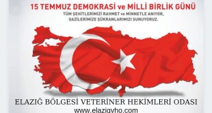 7dac40f4-c7e5-4a76-9443-33022dd16d14