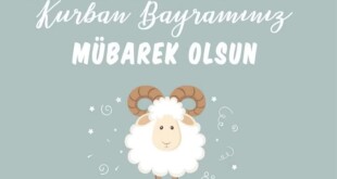 b758c65a-d2d1-4b1c-ba39-697cf76c37c5