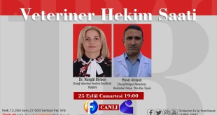 d2683828-a980-4aab-9516-1584803211cf