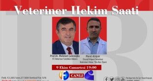 244412382_2716323538660169_3703759335506029551_n