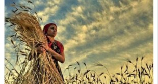 245211140_2721310624828127_3062612057450575902_n