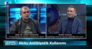 259618466_238577625041085_4111641262330669353_n