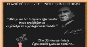 260464654_2747986725493850_6355944413456485262_n